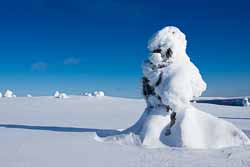 ski de fond Finlande