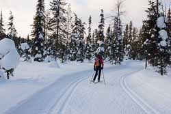 ski de fond en Laponie