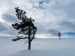 ski fond Finlande