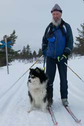 ski fond Laponie