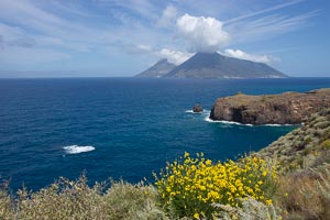 rando Lipari