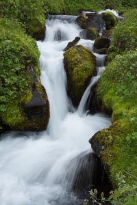 Islande trek fjords