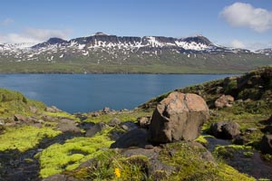 Islande trek fjords