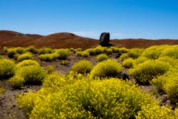 rando Ténérife Teide