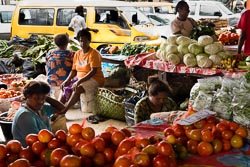 Vanuatu - Efate - Port-Vila - marché