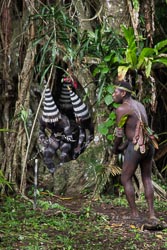 Vanuatu - Gaua - Danse des serpents