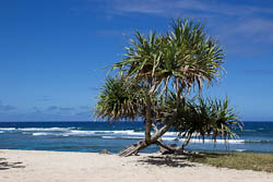 Vanuatu - Santo - Million Dollar Point