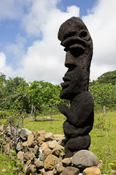 Vanuatu - Tanna - Yasur - Fougère arborescente sculptée